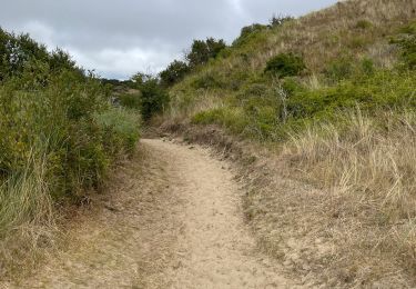 Trail Walking Condette - Dunes d’Ecault depuis le château d’Hardelot - Photo