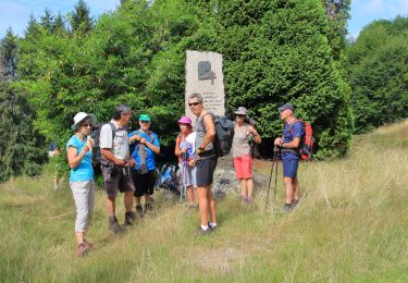 Trail Walking Giromagny - Giromagny - Photo