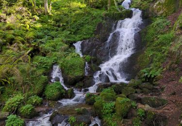 Randonnée Marche Le Hohwald - serva - Photo