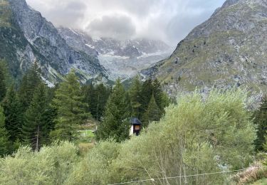 Trail Walking Orsières - La Fouly Ferret  - Photo