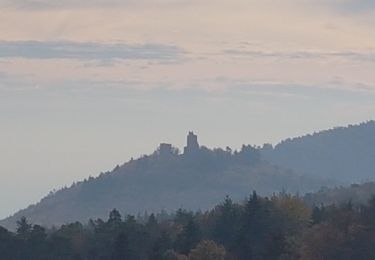 Percorso Marcia Eguisheim - Randonnée 5 châteaux - Eguisheim - château d'Hagueneck - château de Hohlandsbourg - trois châteaux d'Husseren - Photo