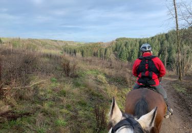 Trail Horseback riding Bastogne - Livarchamps décembre 2020 - Photo