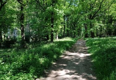 Randonnée Marche Verviers - aqueduc-bois de Jalhay-Cossart  - Photo