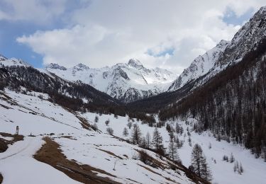 Tocht Sneeuwschoenen Ceillac - les balcons du cristillan - Photo