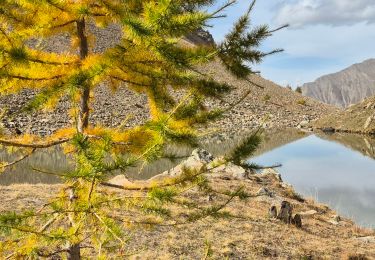 Trail Walking Crévoux - 2024-10-14 Lac du Crachet - Photo