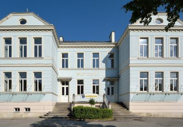 Tocht Te voet Gemeinde Aspangberg-St.Peter - Kleine Klause - Fuchs - Passkapelle - Photo