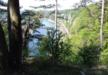 Trail Walking Namur - Boninne - boucle  - Photo