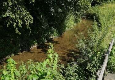 Tour Wandern Genappe - petit tour à ways - Photo