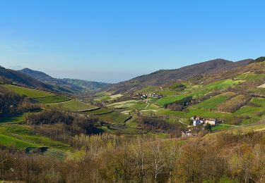 Randonnée A pied Montesegale - Anello Fornace Nord - Photo