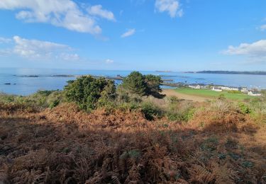 Tour Wandern Trédrez-Locquémeau - Locquémeau 22 - Photo