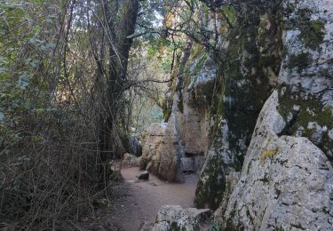 Trail Walking Antequera - ElYorcal - Photo