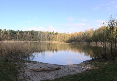 Trail On foot Teupitz - Schweriner Rundwanderweg - Photo