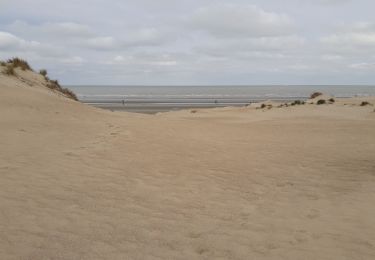 Excursión Senderismo Koksijde - Schipgat coxyde  - Photo