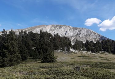 Randonnée Marche Saint-Agnan-en-Vercors - Grand Veymont à partir de La Coche  - Photo