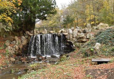 Trail Walking Spa - 20201109 - La Fraineuse 8 Km - Photo