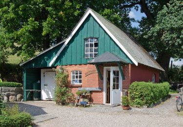 Tour Zu Fuß Malente - Kleine Radlandsichten-Route - Photo