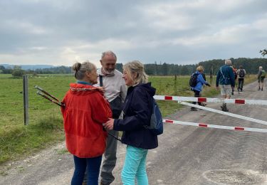 Trail Walking Marche-en-Famenne - Marche-en-Famenne - Photo