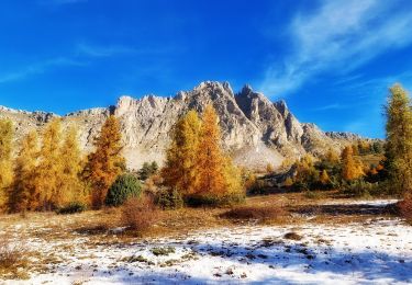 Tour Wandern Prunières - visorando-trou-de-pancrace-serre-du-mouton-et-griffes-du-lion-rose-de-salados - Photo