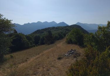 Trail Walking Saou - Petite et grande Pomerolle en boucle - Photo