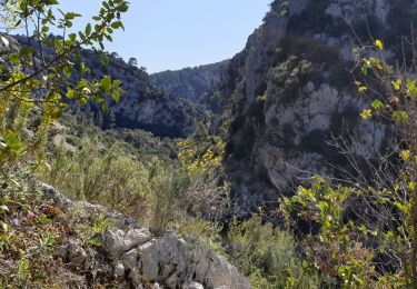 Randonnée Marche Évenos - Les Gorges du Destrel depuis le  Broussan - Photo