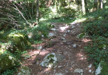 Trail Walking La Sure en Chartreuse - 38 passieres charminelle zel 01.08.24 - Photo