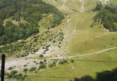 Randonnée Marche Ayent - Bitailla  - Photo