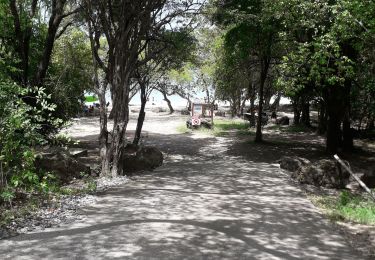 Tocht Stappen Sainte-Luce - L'Anse Pont Café-Bellevue Ladour en boucle  - Photo