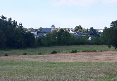 Randonnée Marche Les Ulmes - les ulmes vignes - Photo