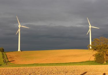 Percorso A piedi Modautal - Rundwanderweg Modautal Am Junkernkopf 5: Allertshöfer Tannenweg - Photo