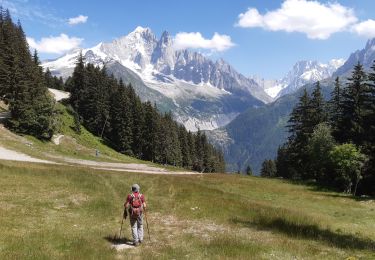 Tour Wandern Chamonix-Mont-Blanc - la flegere (2)juilket 2021 - Photo