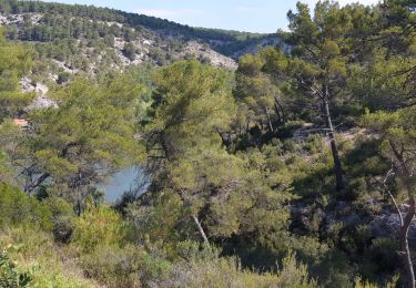 Excursión Senderismo Le Tholonet - le tholonet-barrage zola - Photo