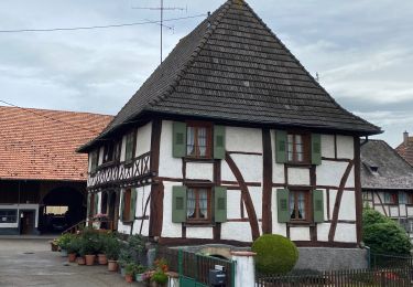 Randonnée Marche Heimsbrunn - Autour de Heimsbronn - Photo