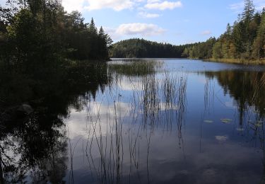 Excursión A pie  - Stenstugan Blå - Photo