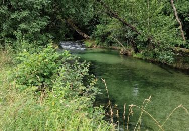 Tocht Hybride fiets Castelnaud-la-Chapelle - Castelnaud à l'abbaye Nouvelle et retour (Dordogne) - Photo