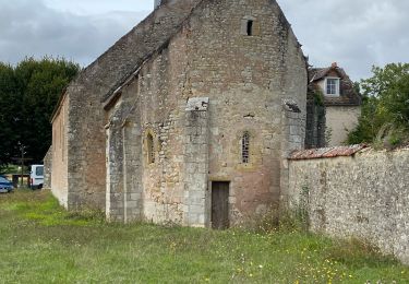 Tocht sport Briarres-sur-Essonne - Sob 3 briarres pithiviers - Photo