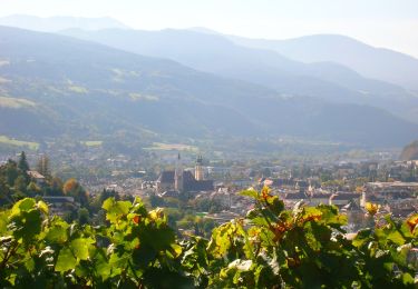Tocht Te voet Brixen - Bressanone - Pinazweg - Photo