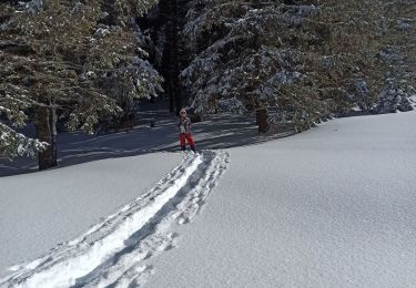 Randonnée Raquettes à neige La Pesse - L'Embossieux - Les Planes - Photo