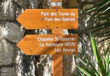 Randonnée Marche Montauroux - St Cezaire : gorges de la Siagne  - Photo