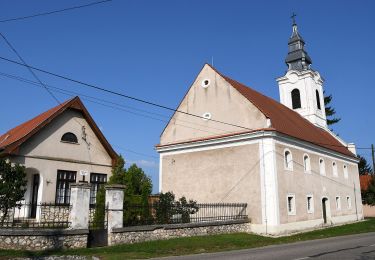 Tour Zu Fuß Homokbödöge - S+ - Photo