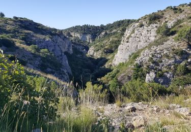 Randonnée Trail Cheval-Blanc - Gorges du Régalon - Oppède le vieux - Photo