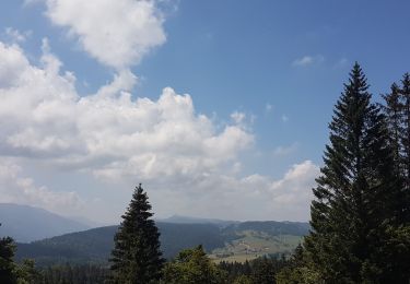 Randonnée Marche Lajoux - crêt de la vigoureuse - Photo