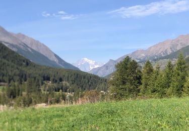 Excursión Marcha nórdica Cogne - Cogne Lilaz - Photo