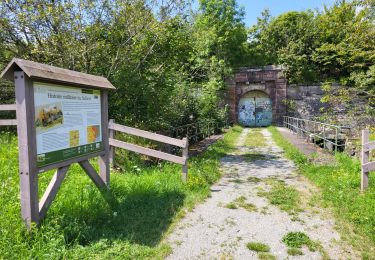 Randonnée Vélo électrique Essert - VTT - Essert - Salbert - Vétrigne - Miotte - Citadelle Belfort - Essert - Photo