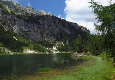 Tocht Stappen Cortina d'Ampezzo - Lago Fédera 25/07/22 - Photo