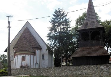 Tour Zu Fuß Szalonna - Z+ Nagy-Pallag - Szalonna - Photo