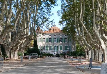 Tour Wandern Solliès-Ville - Domaine de la Castille-20-09-2024 - Photo