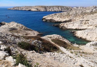 Tour Wandern Marseille - Îles de Pomegues. Frioul.  - Photo