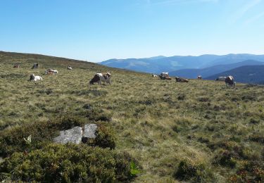 Percorso Marcia Le Valtin - gazon du fait les lacs - Photo