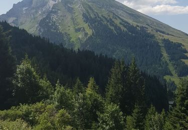 Tour Wandern La Clusaz - Les Confins à Beauregard - Photo