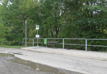 Tour Zu Fuß Söhrewald - Eiterhagen-Sälzerweg Richtung HeLi - Photo